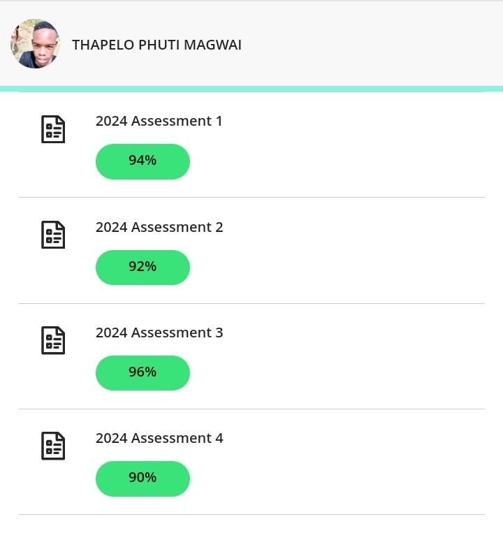 Software Semester Results 2024